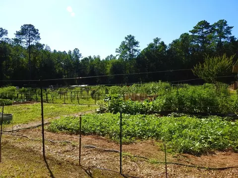 L13 B28 Monroe Lane, Mccormick, SC 29835 photo 21