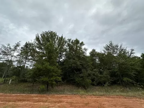 0-36 Nelson Ct, Louisville, GA 30434