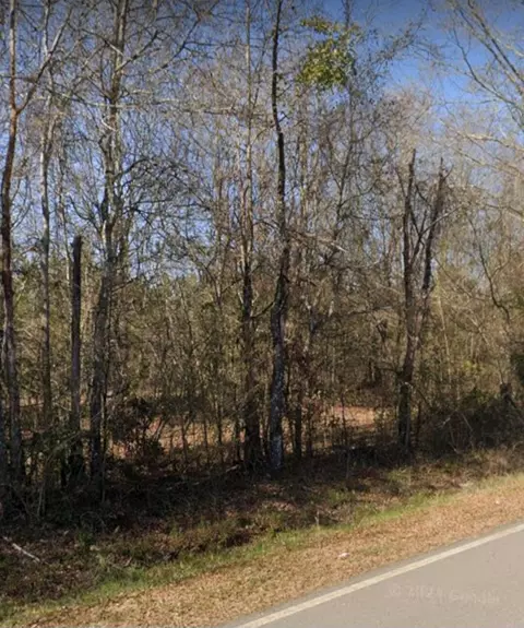 3191 Gene Howard Rd, Stapleton, GA 30823 photo 2