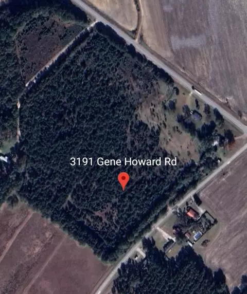 3191 Gene Howard Rd, Stapleton, GA 30823 photo 8