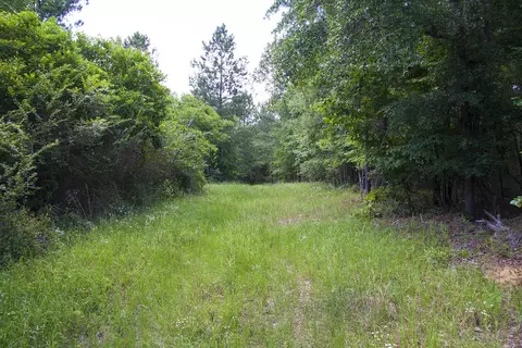 1515 Hephzibah - Mcbean Rd # D, Hephzibah, GA 30815