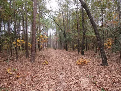 0 Twin Pines Rd, Keysville, GA 30816