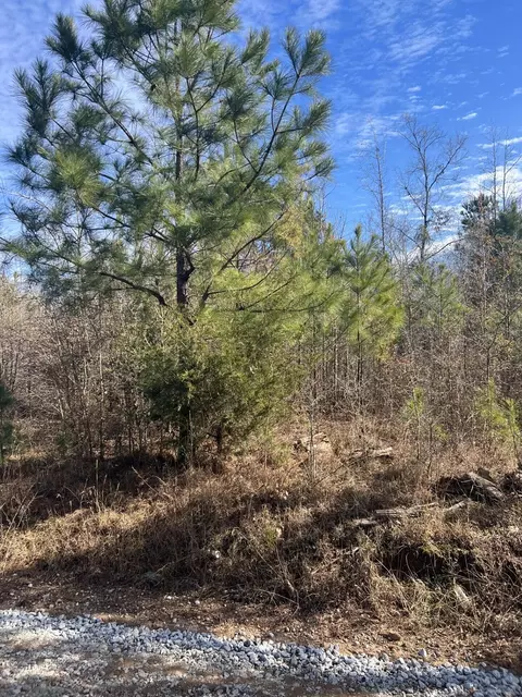 0 Clanton Rd, Evans, GA 30809 photo 3