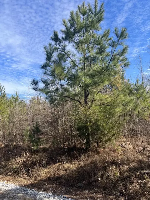 0 Clanton Rd, Evans, GA 30809 photo 5