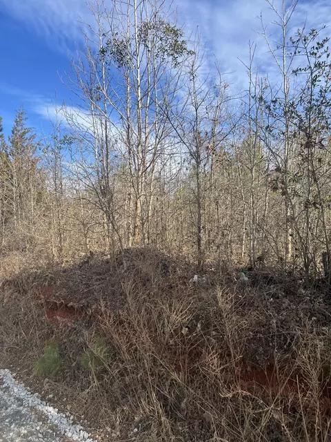 0 Clanton Rd, Evans, GA 30809 photo 10