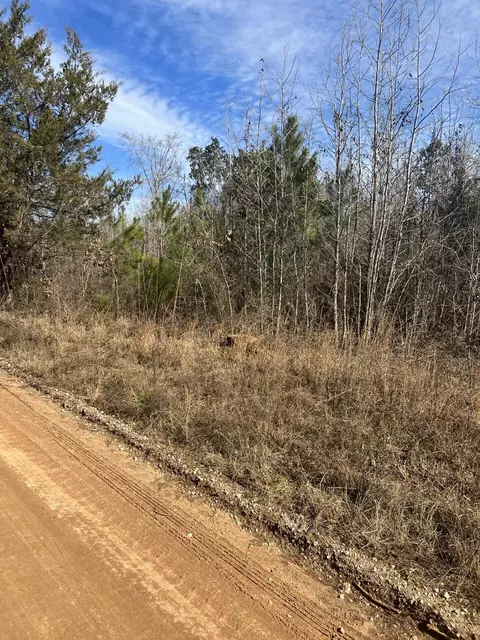 0 Clanton Rd, Evans, GA 30809 photo 8