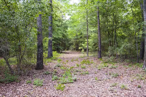 1515 Hephzibah - Mcbean Rd # G, Hephzibah, GA 30815