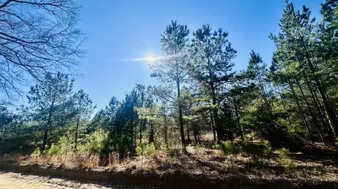 0 Loon Rd, Barnwell, SC 29812