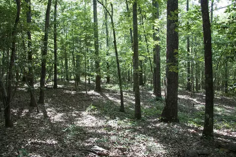 1515 Hephzibah - Mcbean Rd # C, Hephzibah, GA 30815
