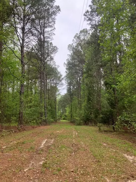0 Gales Rd, Appling, GA 30802 photo 2