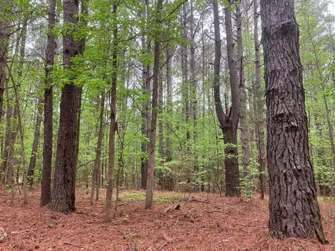 0 Gales Rd, Appling, GA 30802 photo 4