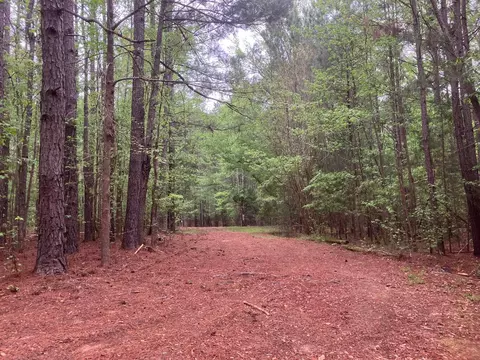 0 Gales Rd, Appling, GA 30802 photo 5