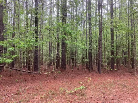 0 Gales Rd, Appling, GA 30802