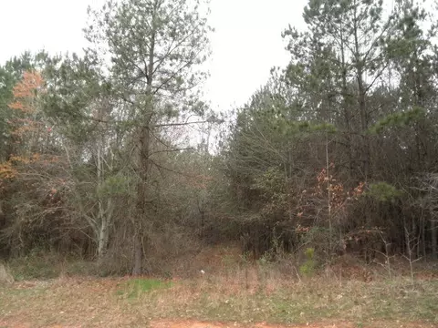 Undisclosed, Lincolnton, GA 30817