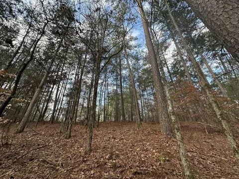 B63 L27 Half Moon Lane, Mccormick, SC 29835 photo 8