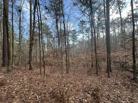 B63 L27 Half Moon Lane, Mccormick, SC 29835 photo 9