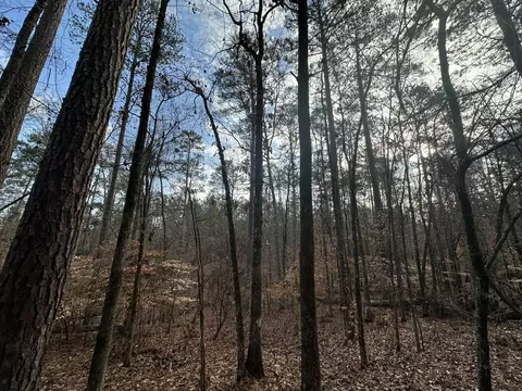 B63 L27 Half Moon Lane, Mccormick, SC 29835 photo 11