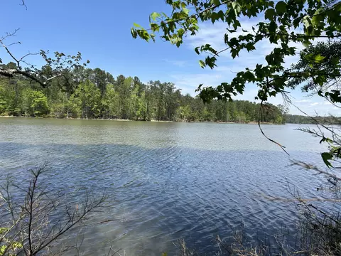 1147 Watersedge Cv, Tignall, GA 30668