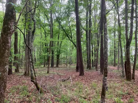 945 Neptune Trl, Appling, GA 30802 photo 3