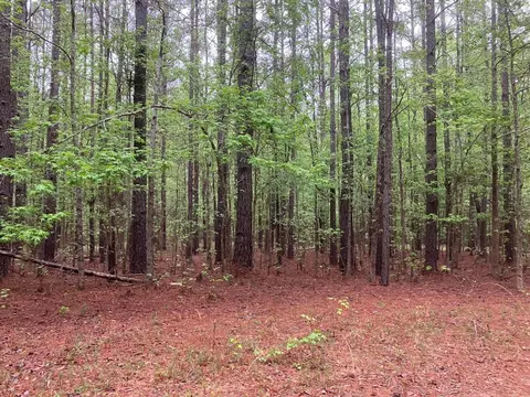 945 Neptune Trl, Appling, GA 30802