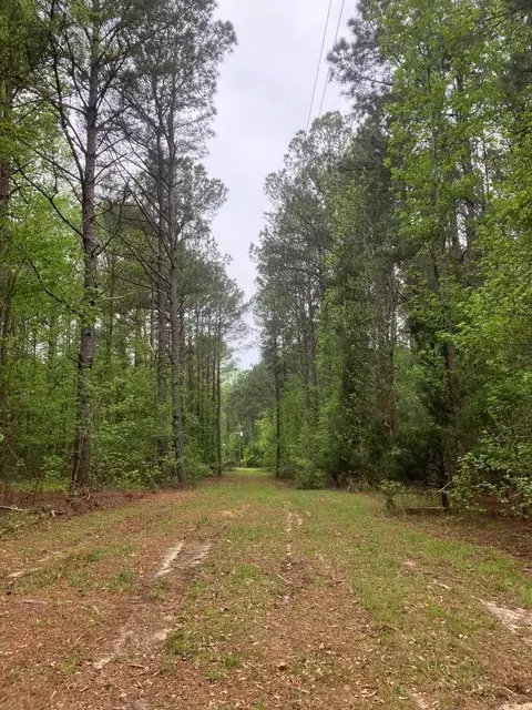 945 Neptune Trl, Appling, GA 30802 photo 2