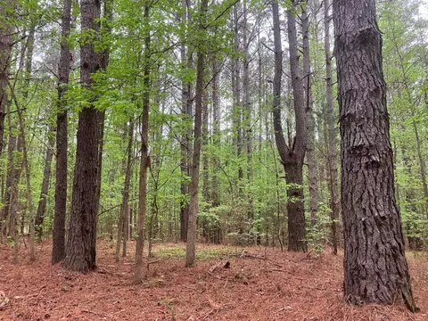 945 Neptune Trl, Appling, GA 30802 photo 4