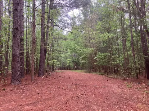 945 Neptune Trl, Appling, GA 30802 photo 5