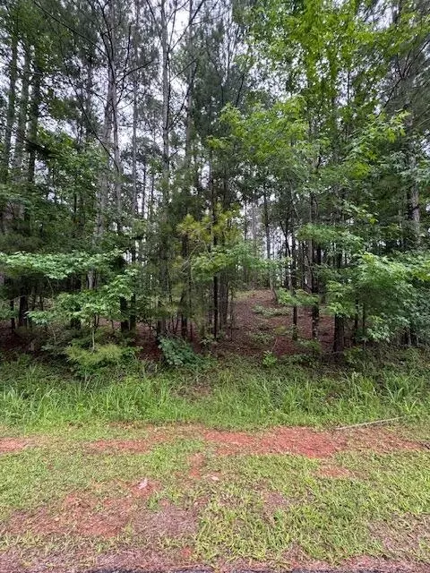 L3, Mccormick, SC 29835 photo 2