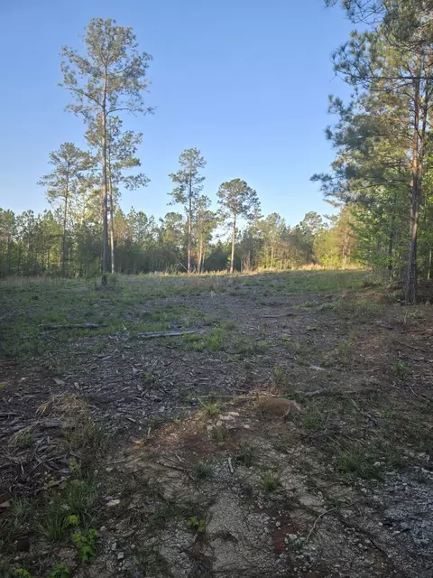 0 Sweetgum Ln, Lincolnton, GA 30817