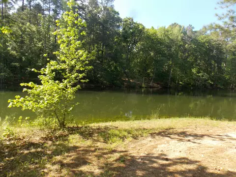 12 Riverview Ct, Lincolnton, GA 30817