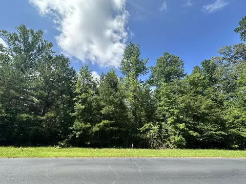lot11 S Pointe Dr, Tignall, GA 30668
