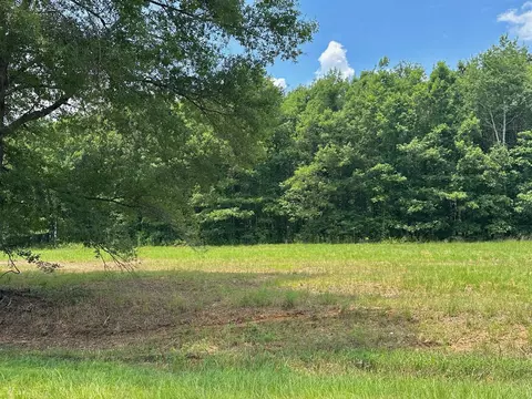 0 Chappel Rd, Waynesboro, GA 30830