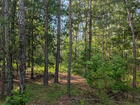 3079 Marshall Rd, Appling, GA 30802