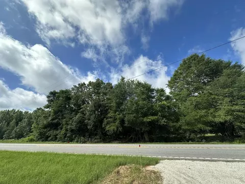 lot E S Ga Highway 23, Waynesboro, GA 30830