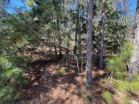 16-39 Rutledge Ln, Mccormick, SC 29835 photo 3