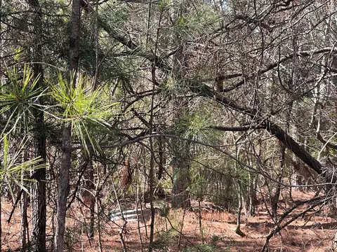 16-39 Rutledge Ln, Mccormick, SC 29835