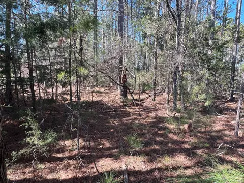 16-39 Rutledge Ln, Mccormick, SC 29835 photo 2