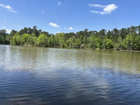 1153 Watersedge Cv, Tignall, GA 30668