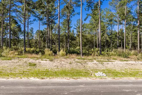 142 Beagle Chase Dr, Appling, GA 30802 photo 5