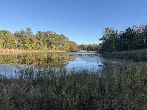 0 Mitchner Rd, Dearing, GA 30808 photo 7