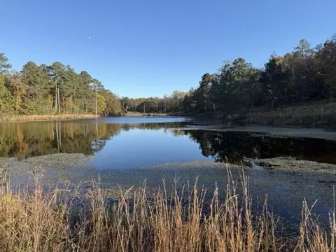 0 Mitchner Rd, Dearing, GA 30808 photo 6