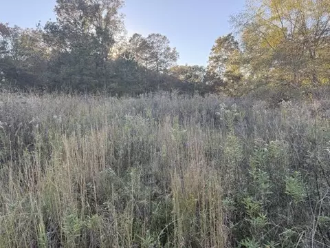 0 Mitchner Rd, Dearing, GA 30808 photo 8