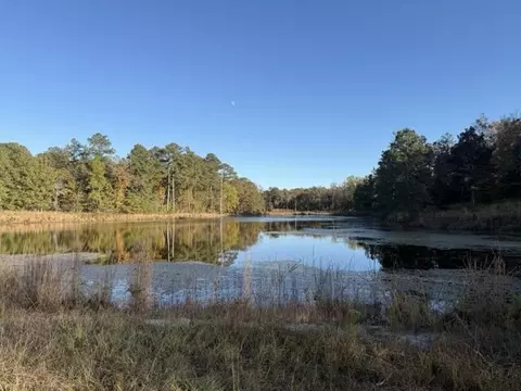 0 Mitchner Rd, Dearing, GA 30808 photo 11