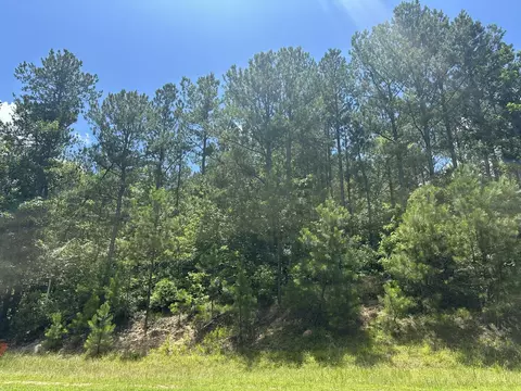 lot27 Honeysuckle Trl, Lincolnton, GA 30817