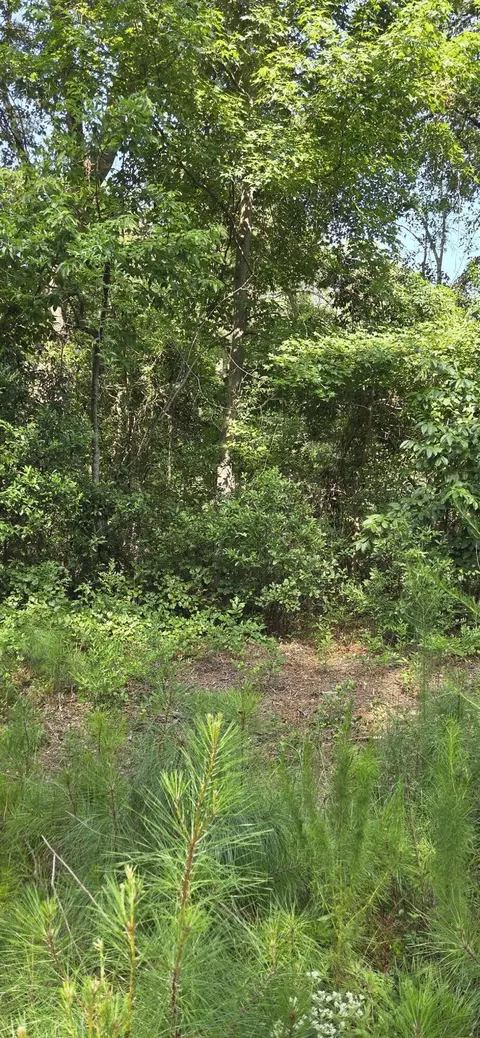 0 Cherokee Dr, North Augusta, SC 29841