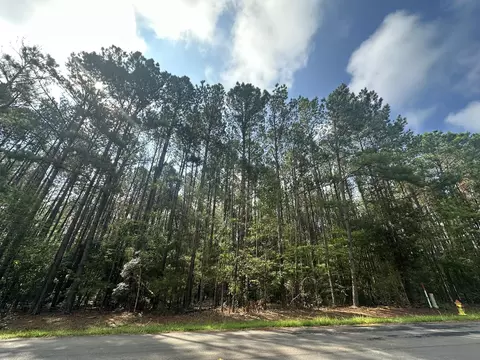lot2 Dogwood Ln, Parksville, SC 29845