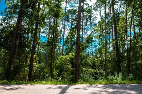 lot4 Furey Dr, Clarks Hill, SC 29821