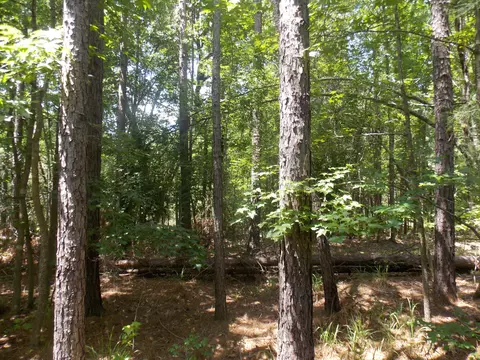 1054 Pine Point Ln, Tignall, GA 30668 photo 3