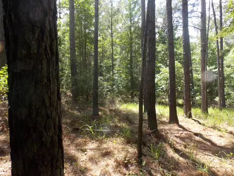 1054 Pine Point Ln, Tignall, GA 30668 photo 2