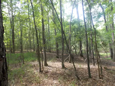 1054 Pine Point Ln, Tignall, GA 30668 photo 5